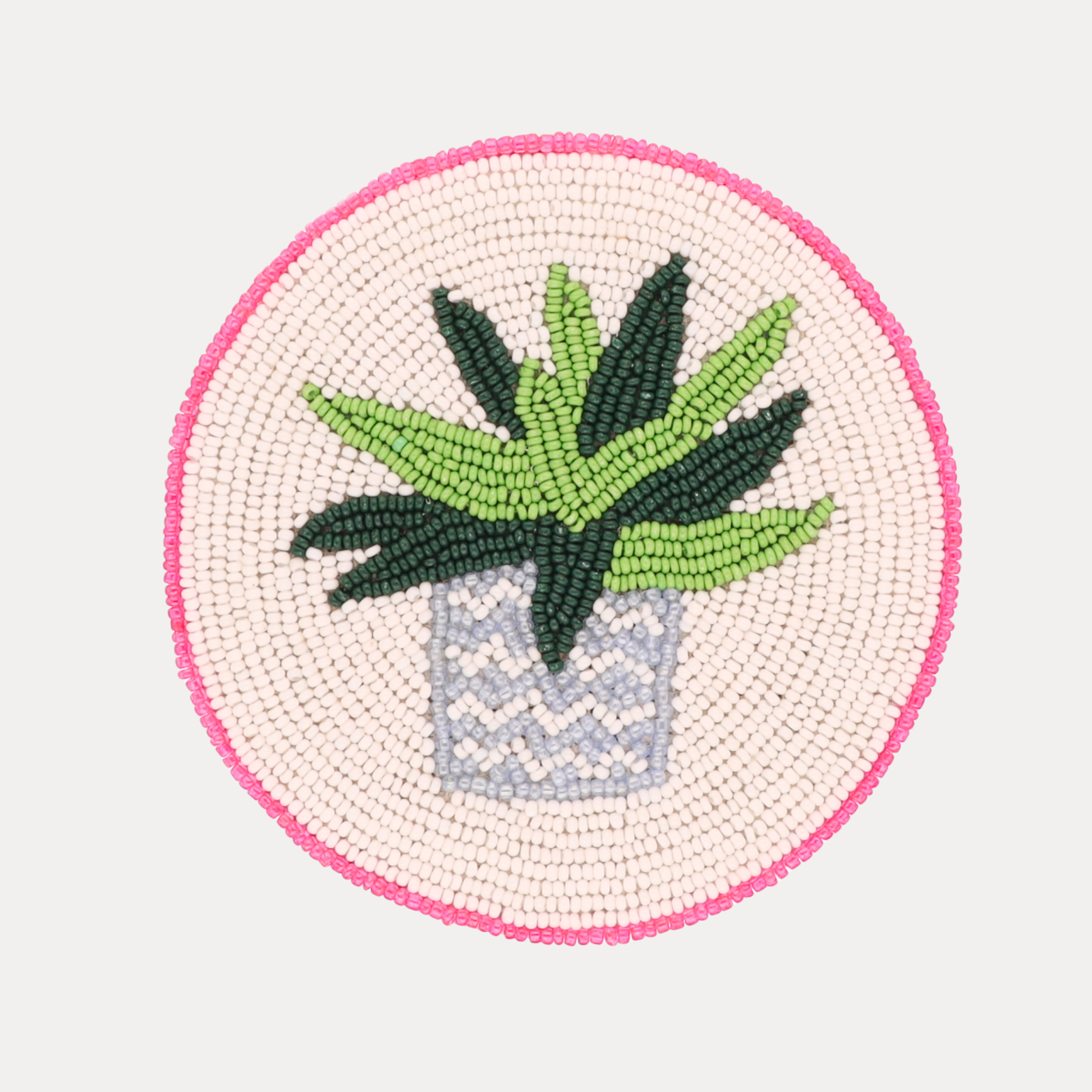 a potted plant on a pink circle