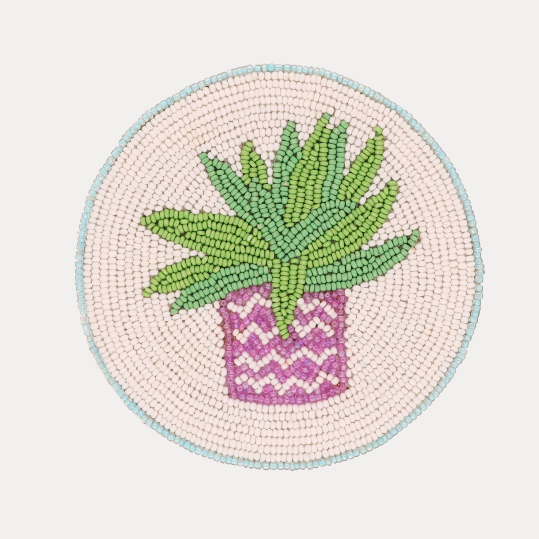a potted plant on a white plate