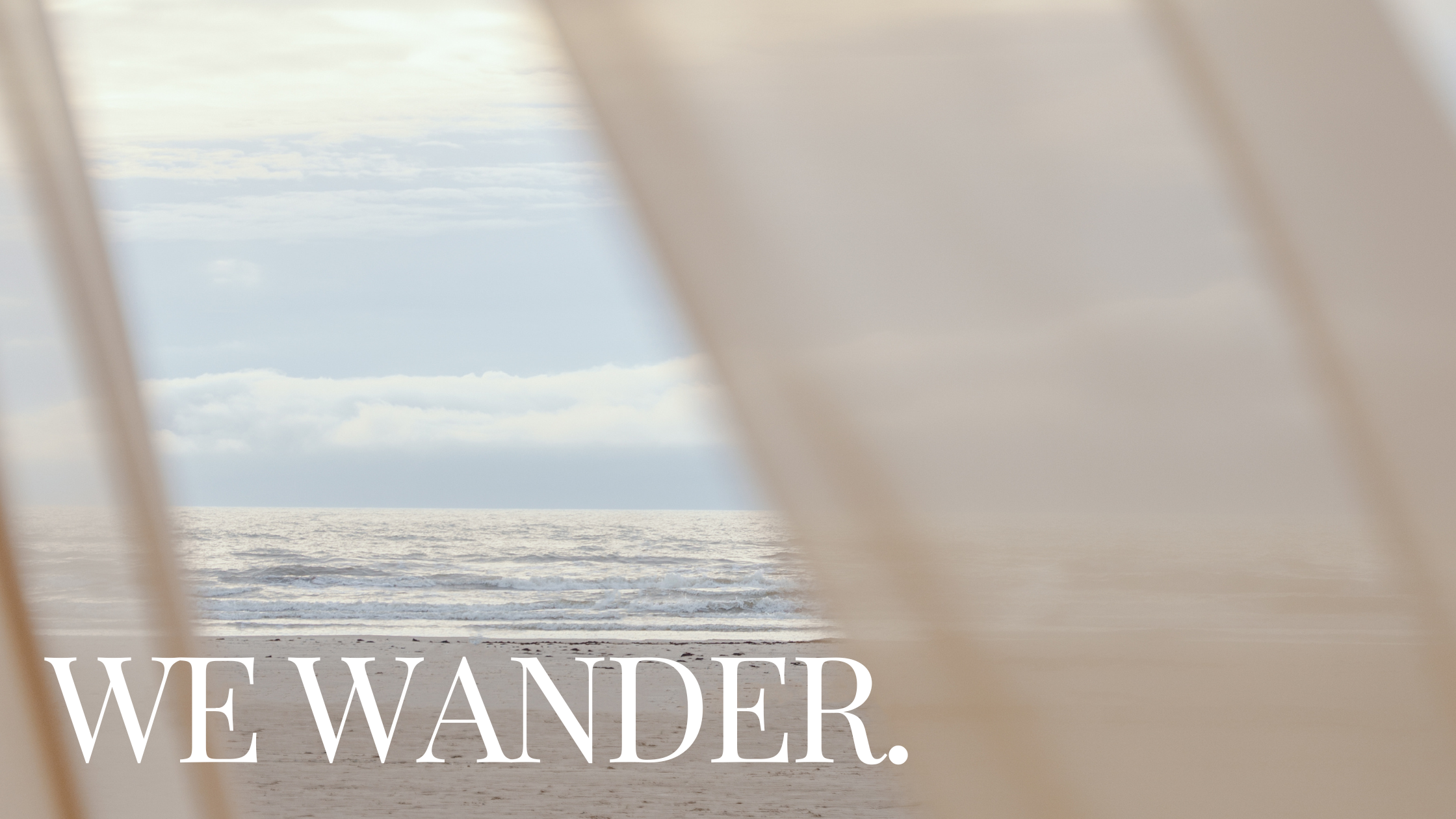 June 2026: We Wander