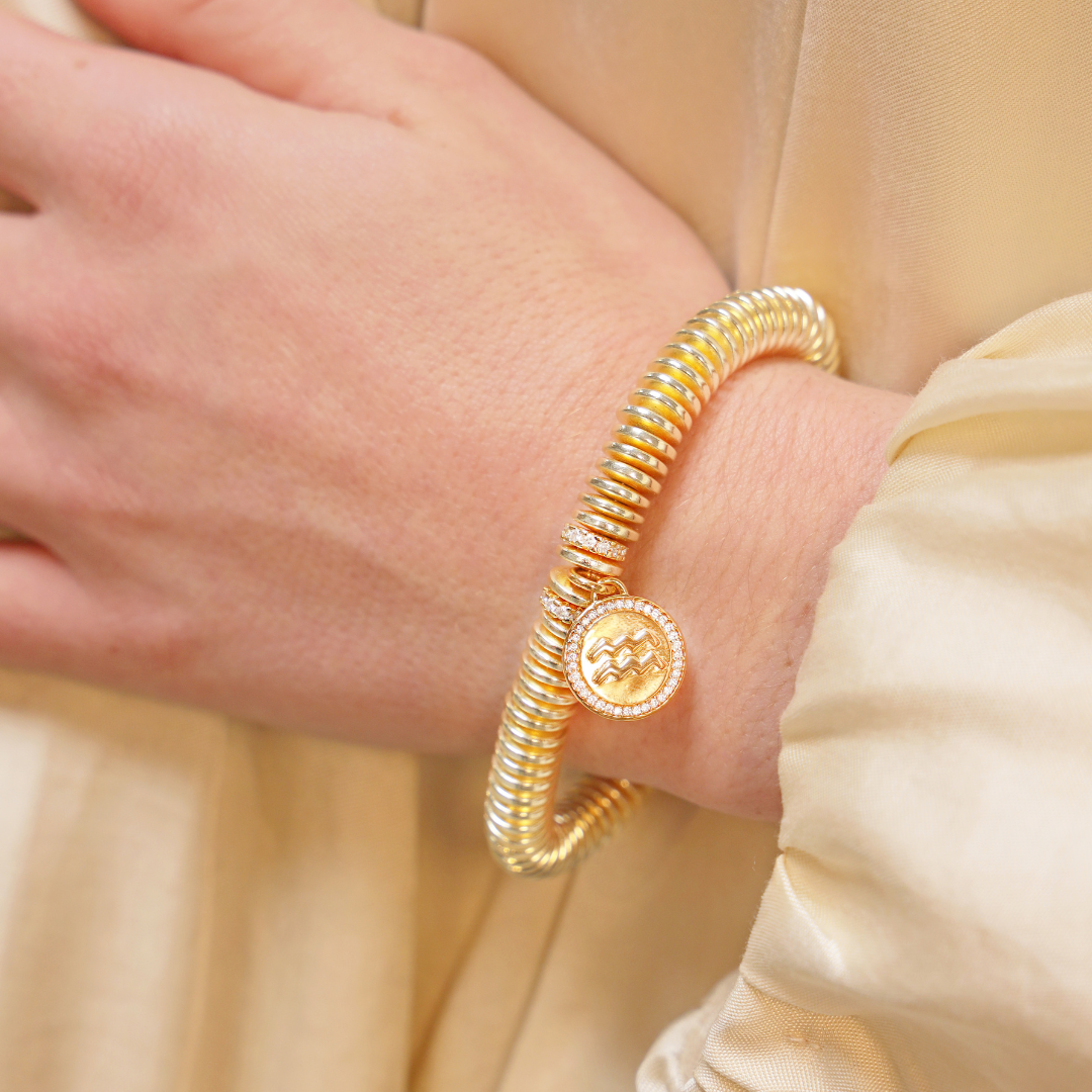 Aquarius Zodiac Charm Bracelet