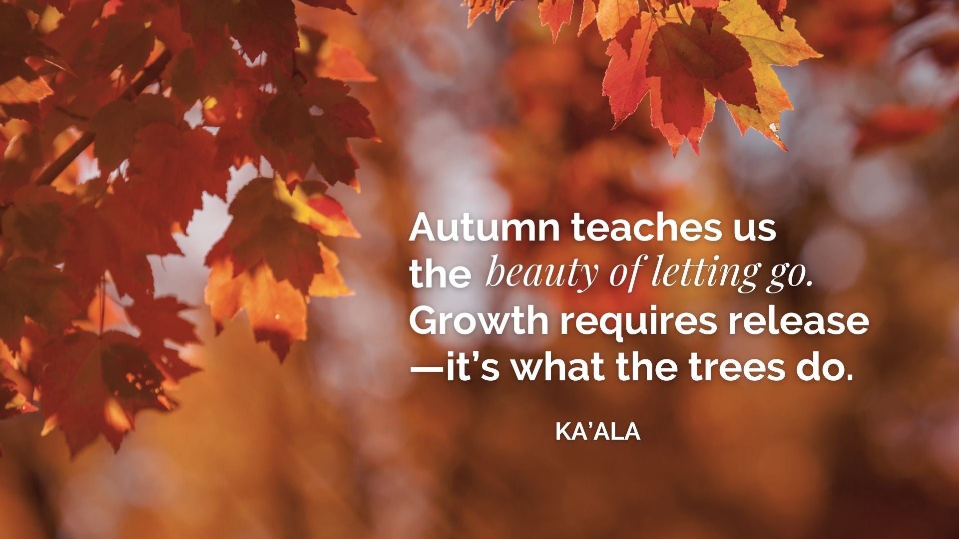A quote from KA'ALA about Autumn | BuDhaGirl