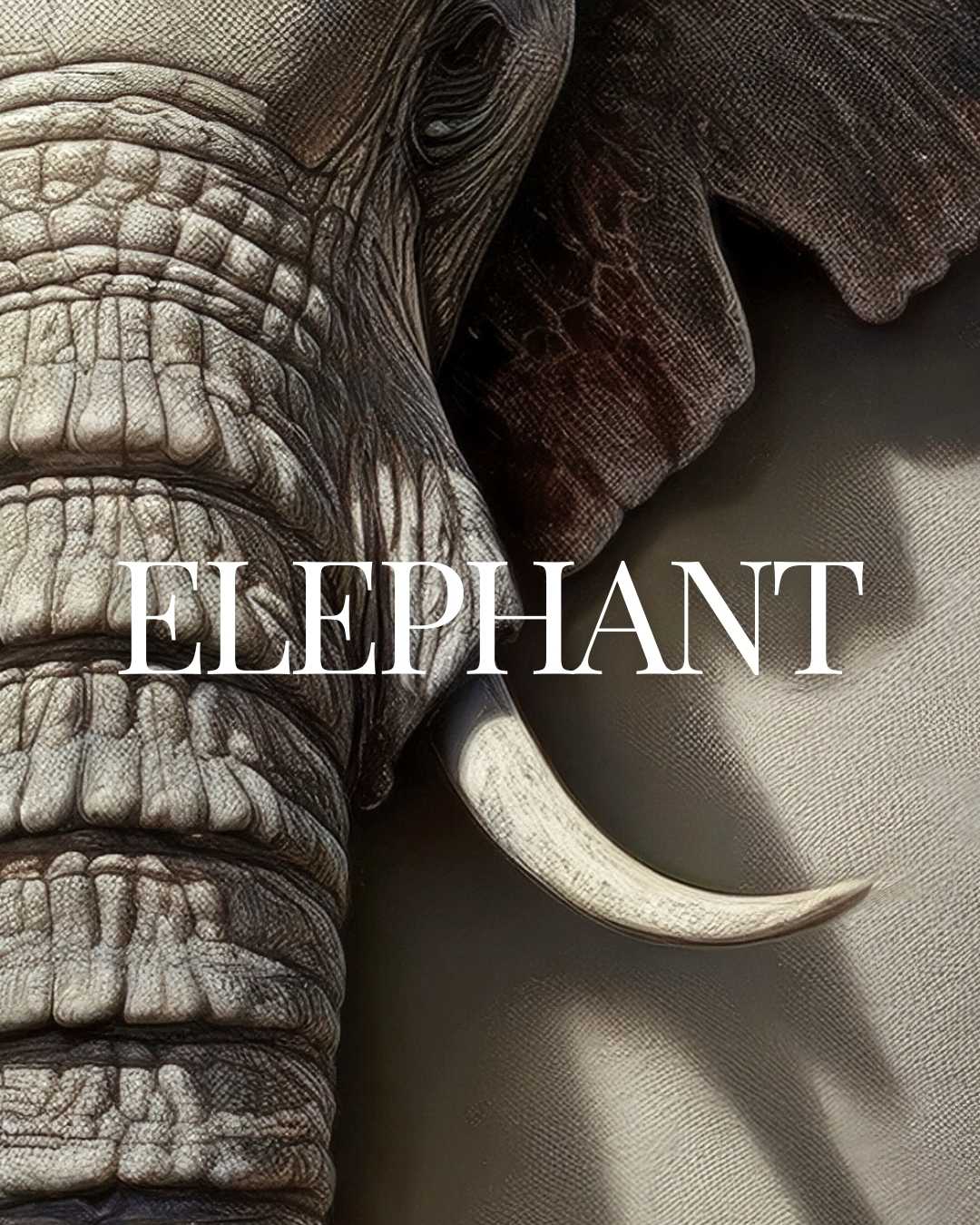 Elephant Spirit Animal | BuDhaGirl