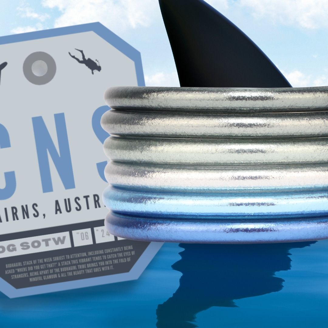 Shark Week Cairns Australia Bangle Bracelet Stack of the Week (6).jpg__PID:5e801692-eb71-4b8d-a01e-d229824b1800