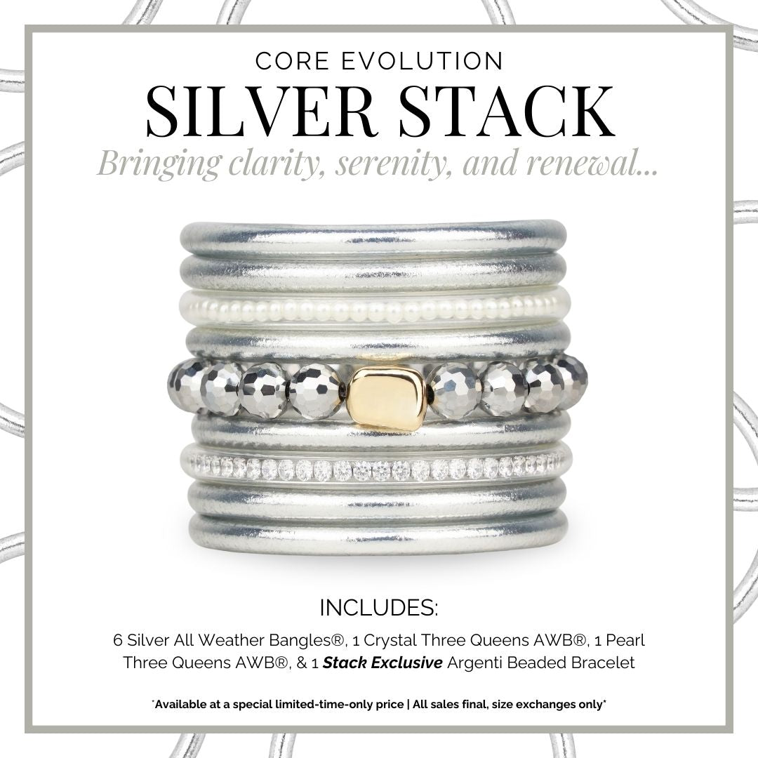 Evolution Stack of 6 - Silver | BuDhaGirl